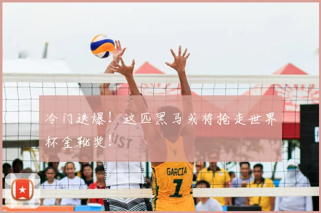 冷门迭爆！这匹黑马或将抢走世界杯金靴奖！